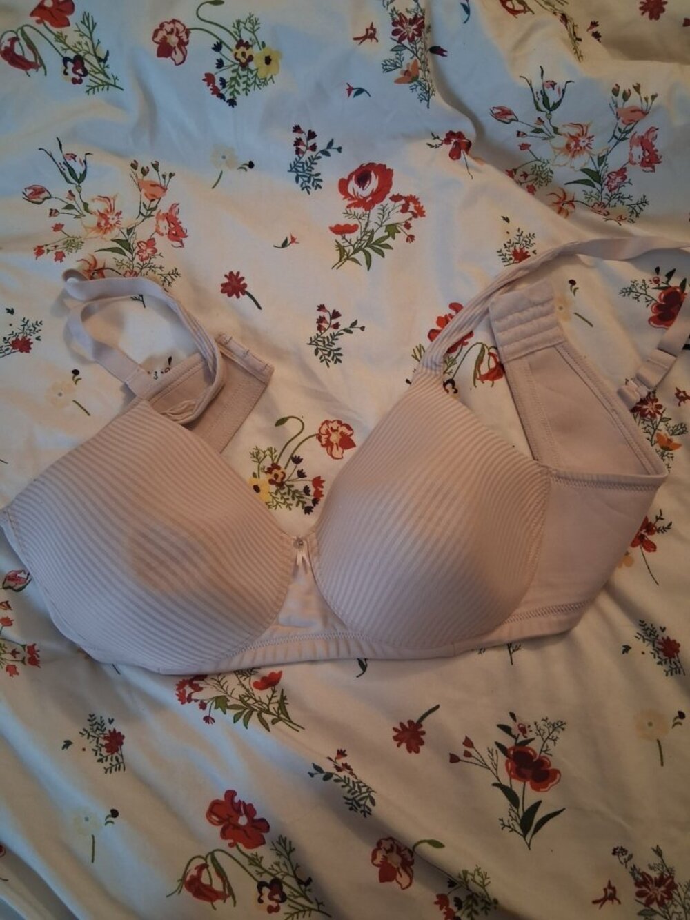 Vanity Fair Beige T-Shirt Bra 40D Wireless Comfort Everyday Bra